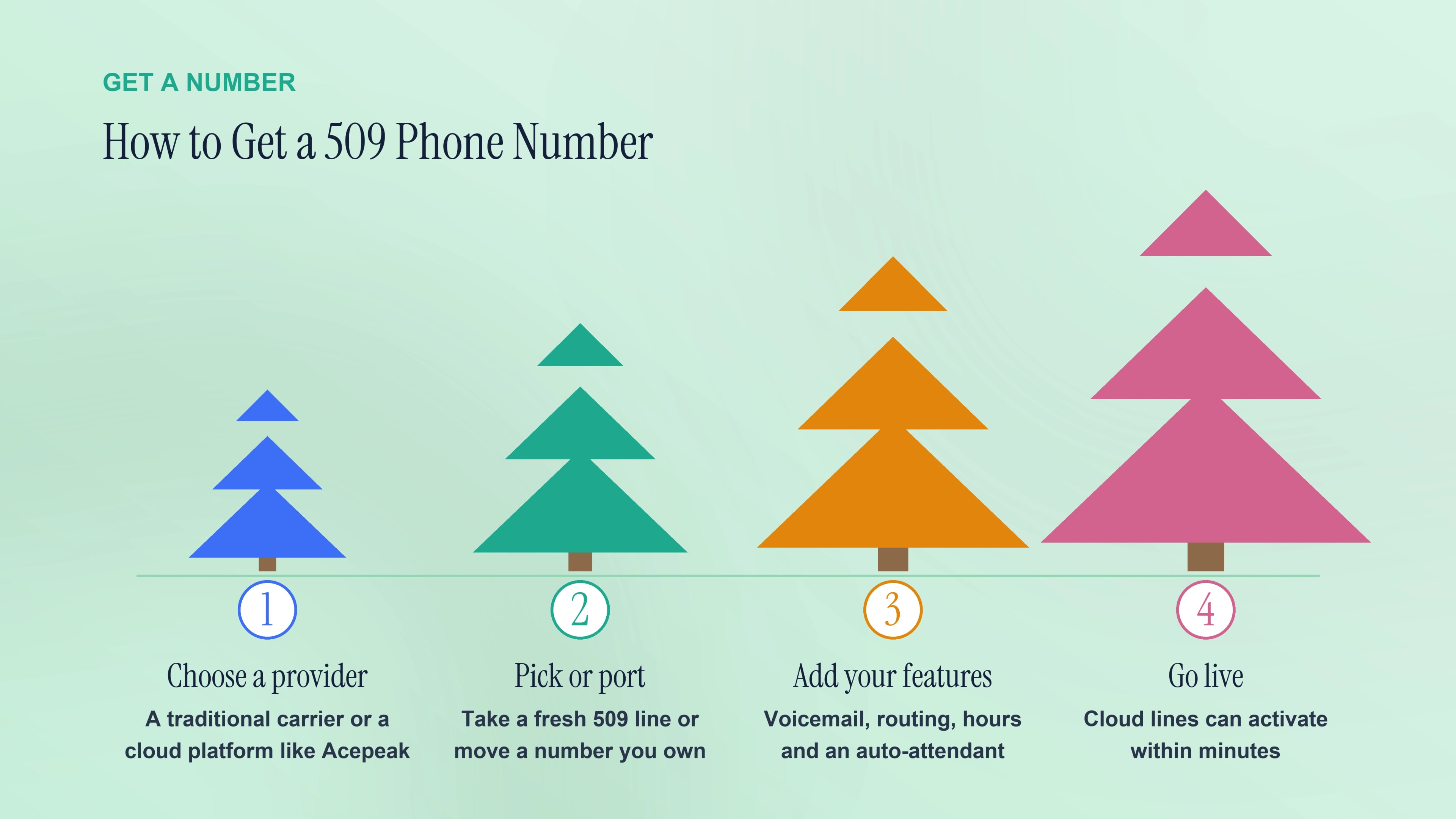 How to get a 509 phone number