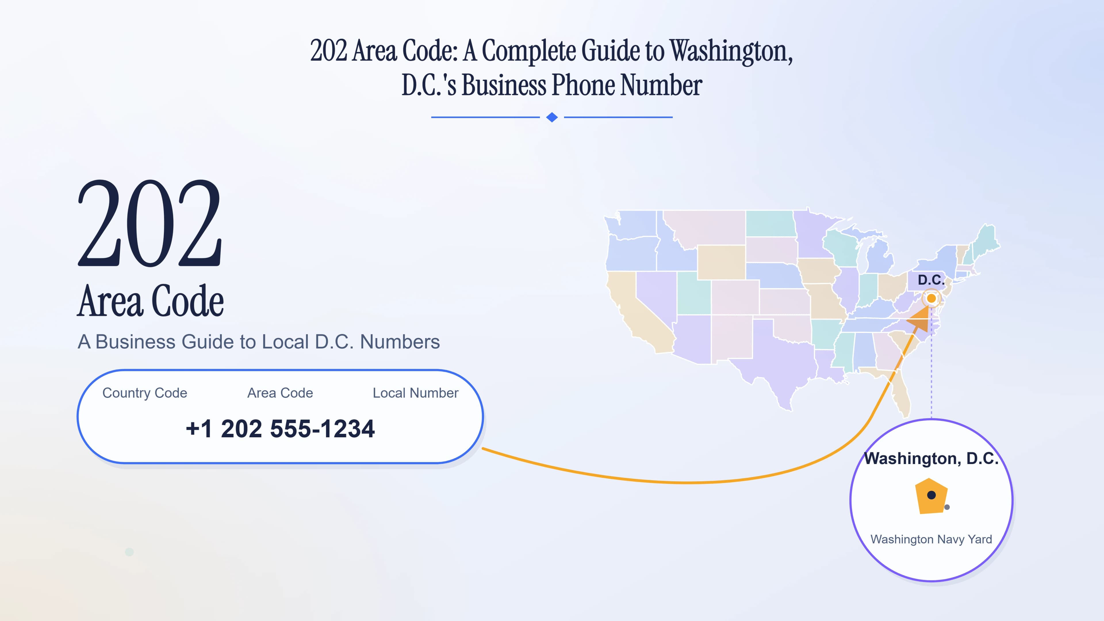 202 Area Code: A Complete Guide to Washington, D.C.'s Business Phone Number