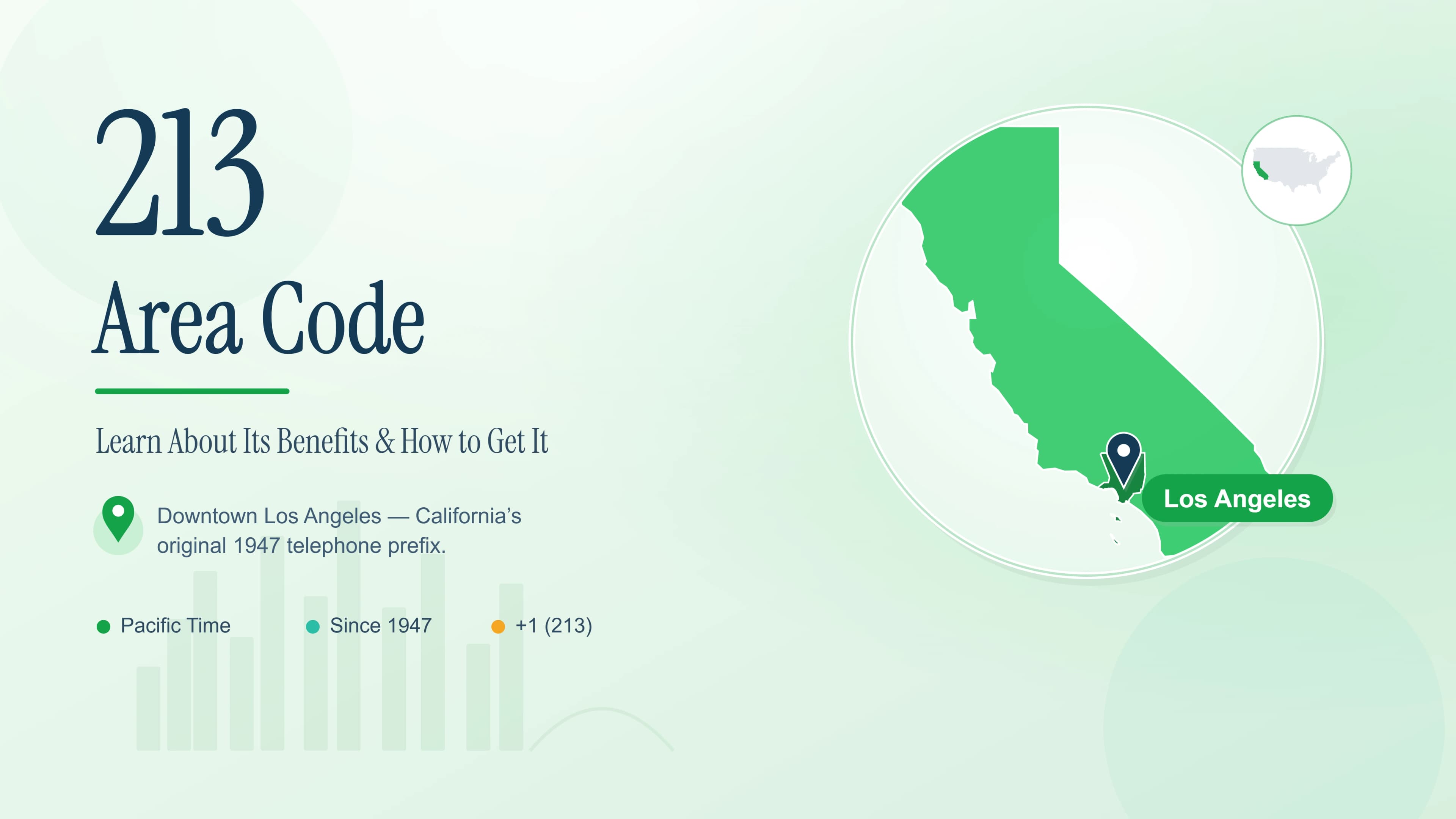 213 Area Code Number: Learn About Its Benefits, Usage & How to Get It