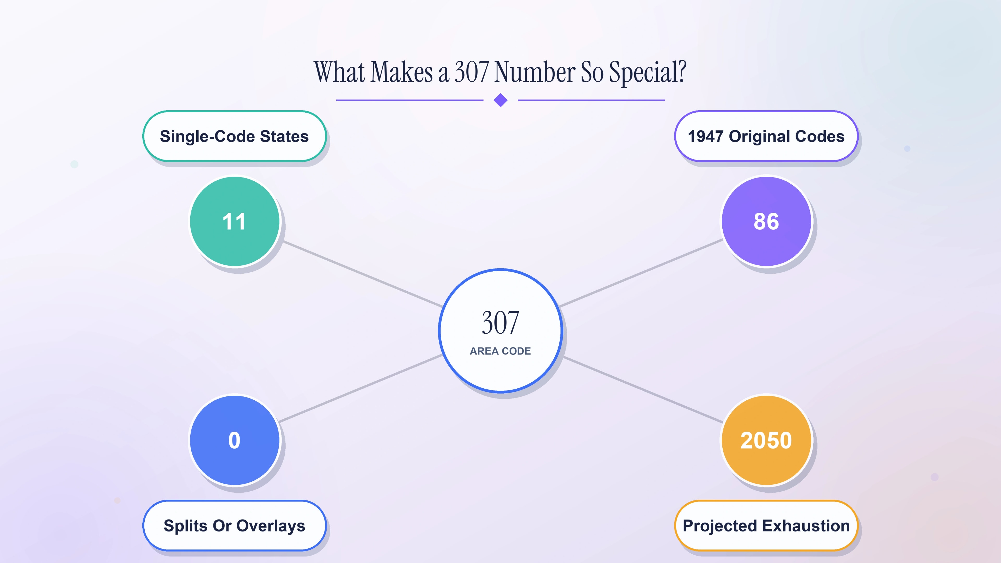 What makes a 307 number so special