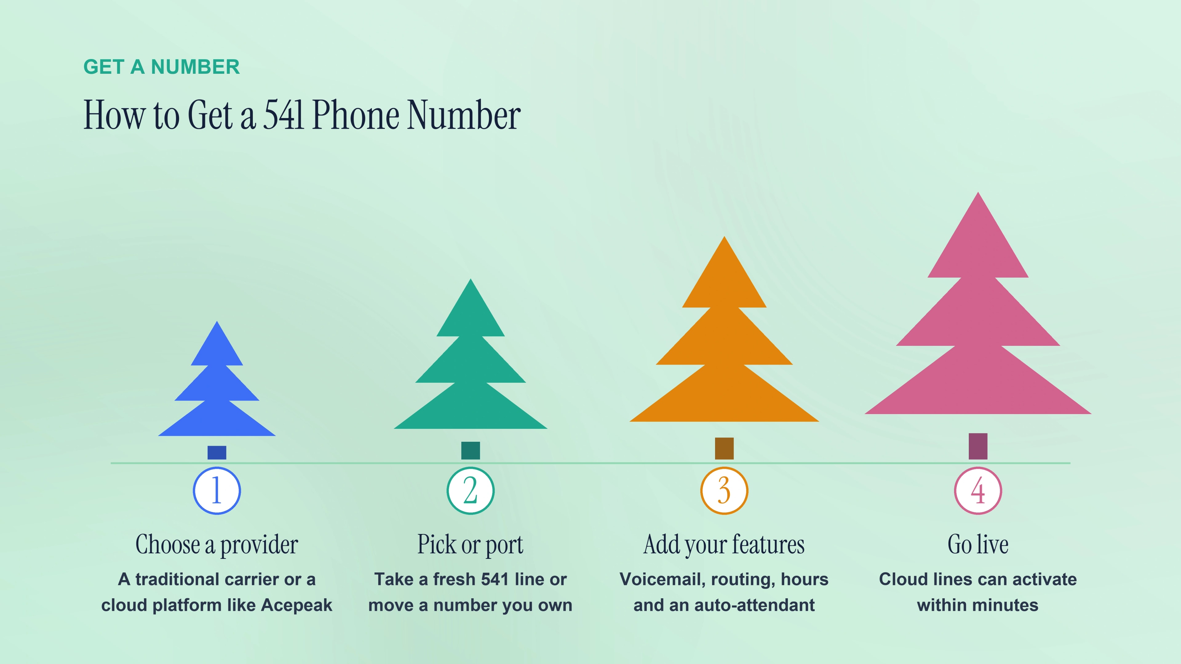 Four steps to get a local Oregon 541 phone number.