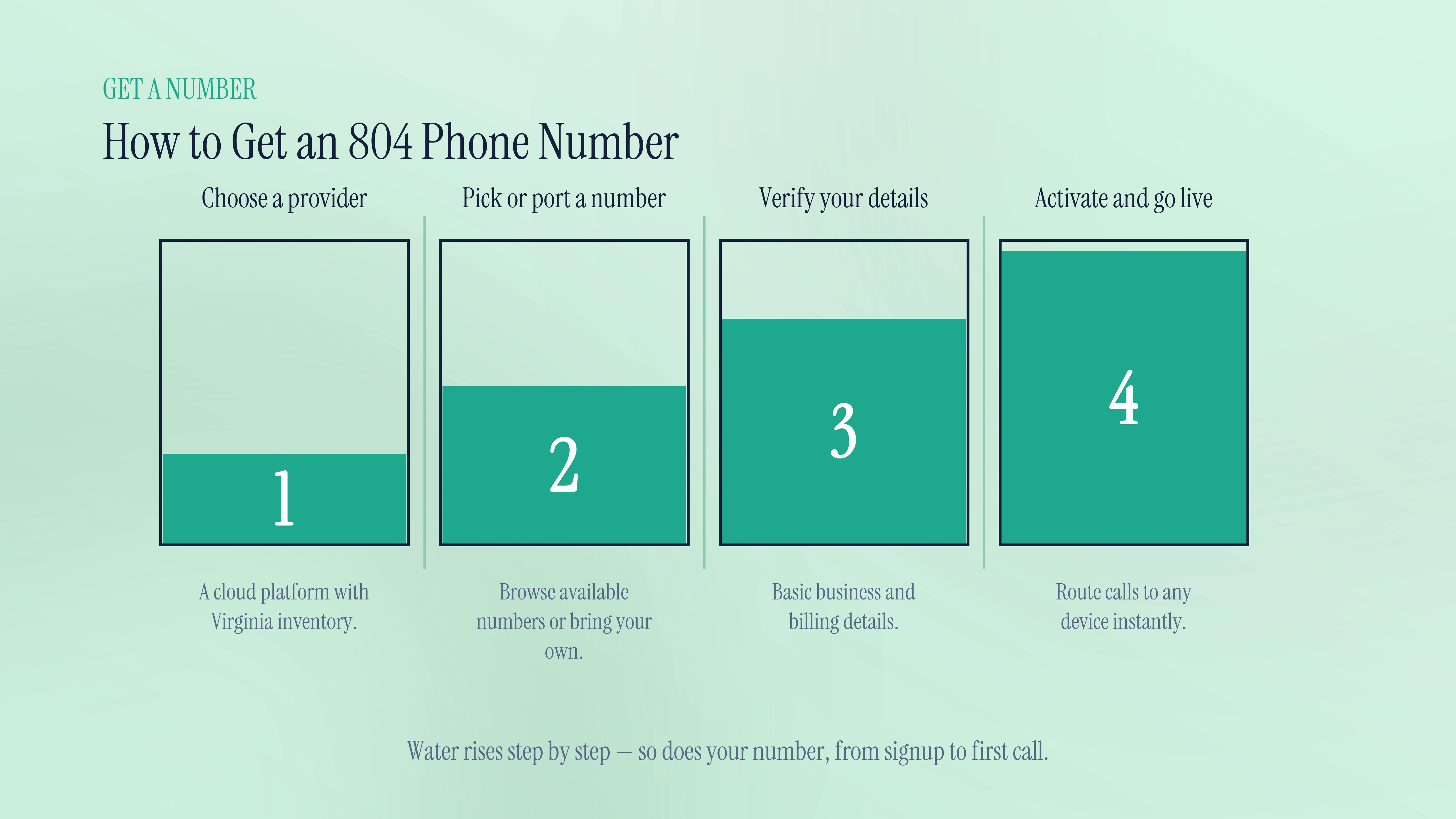 How to get an 804 phone number
