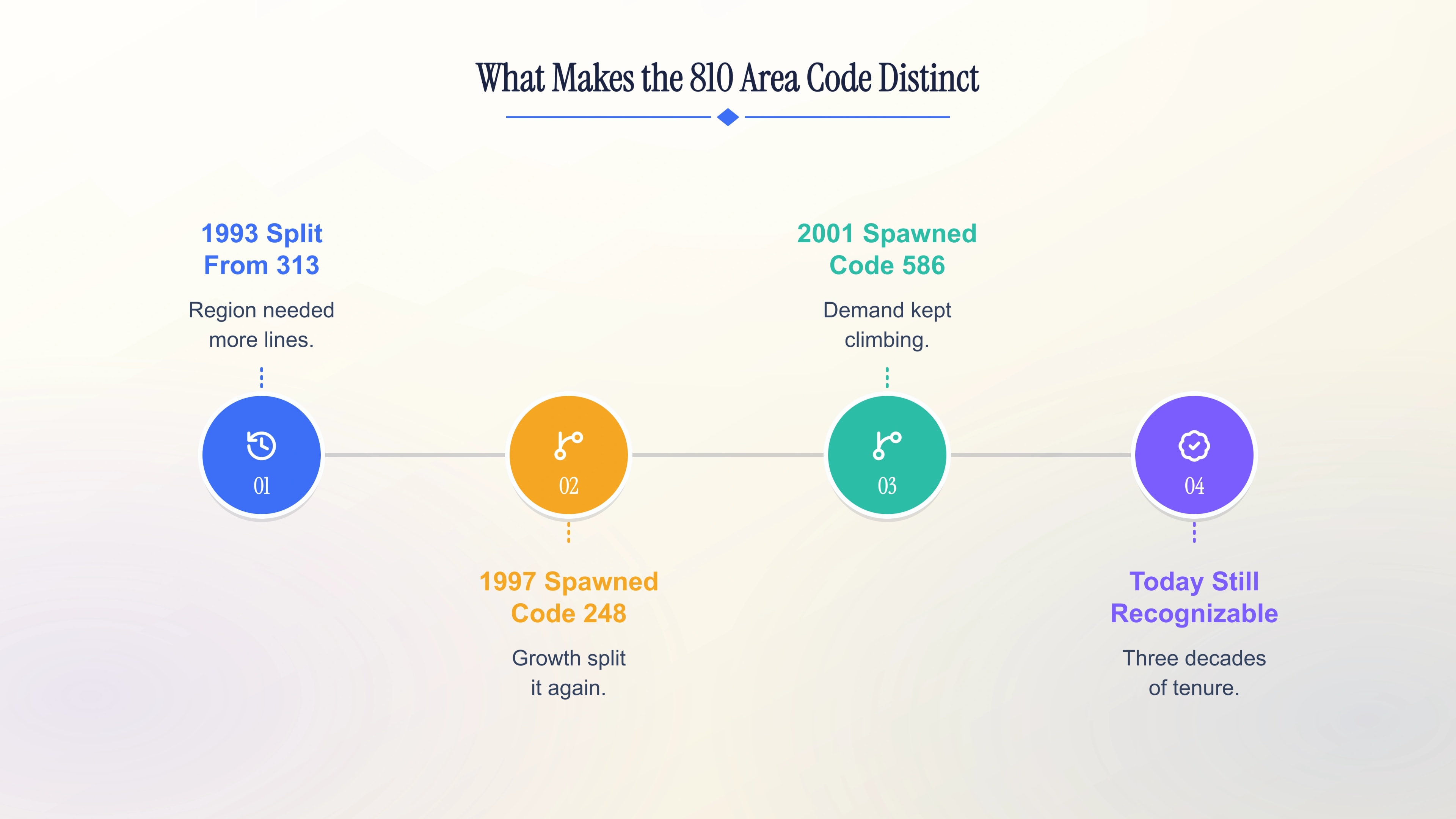 What makes the 810 area code distinct