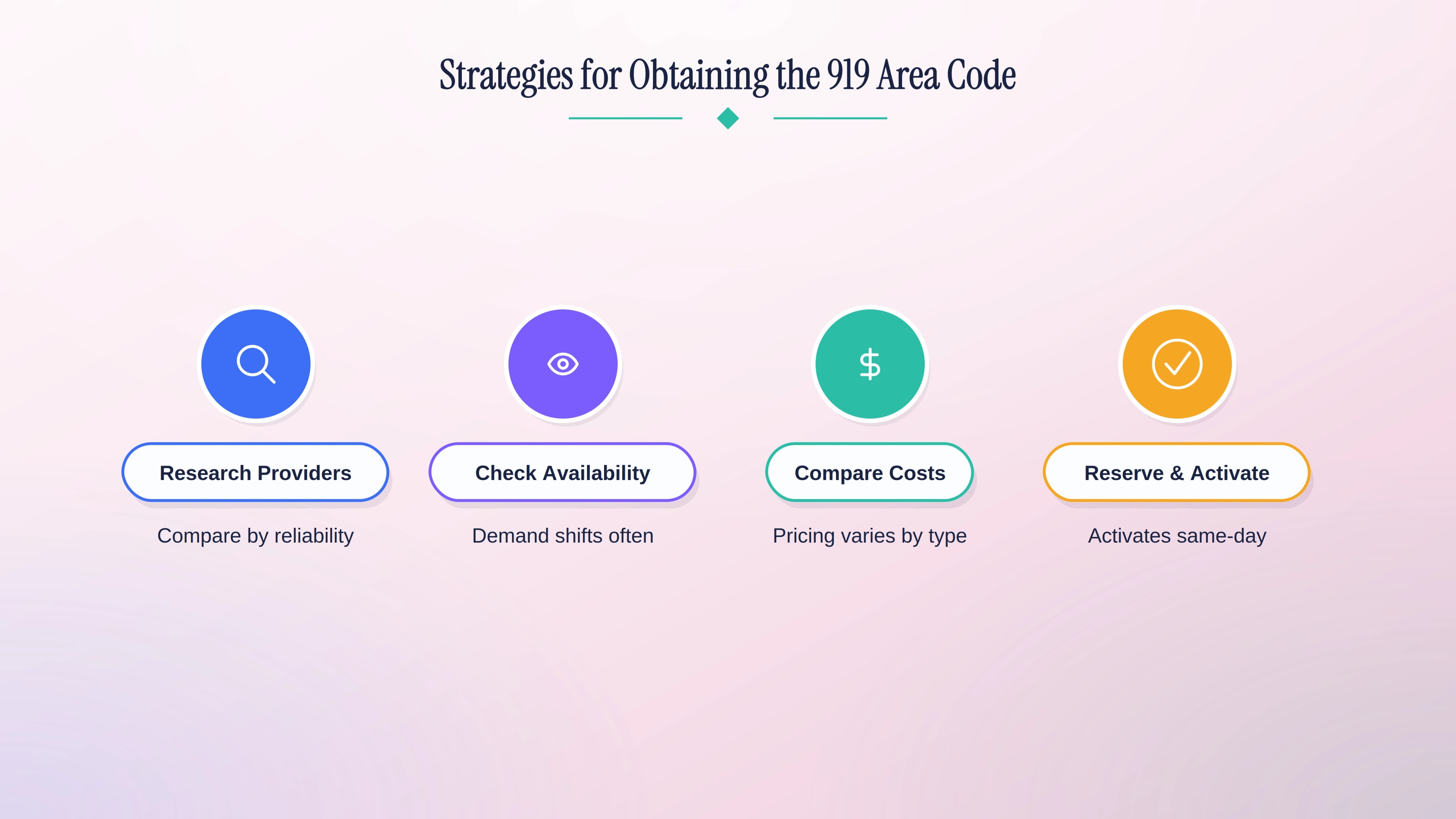 Strategies for obtaining a 919 area code number in four steps.