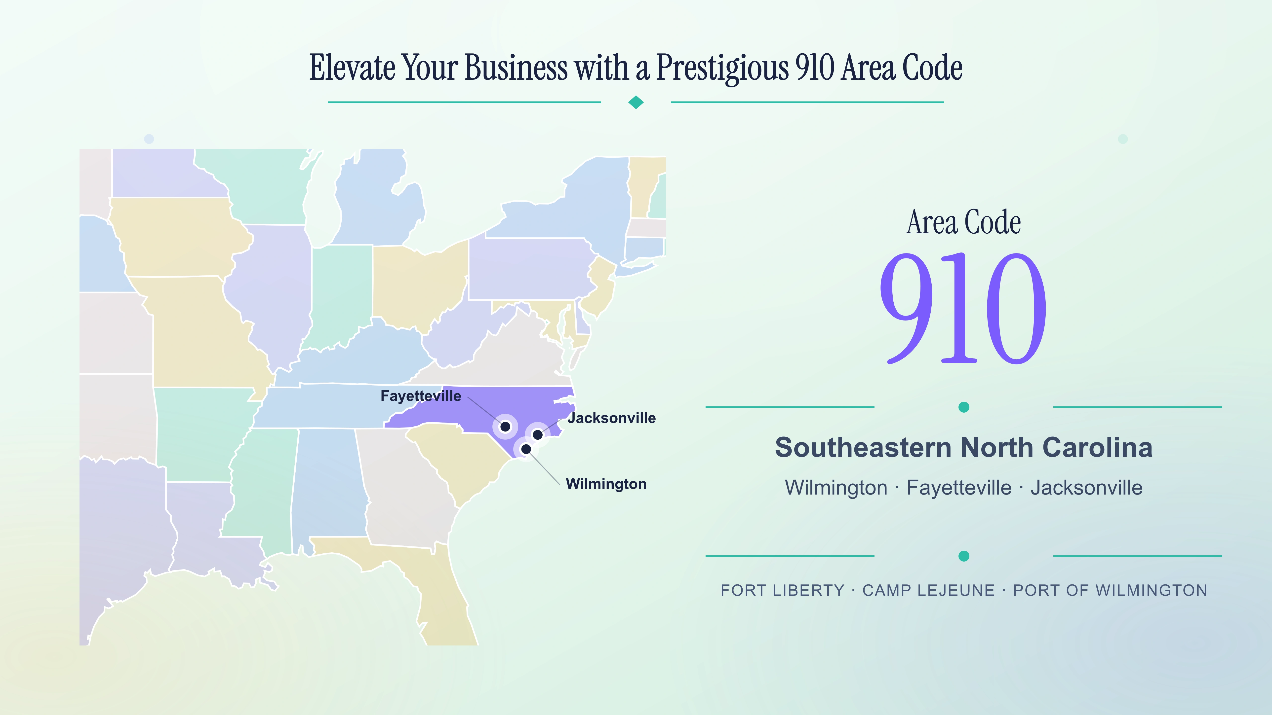 910 Area Code: Southeastern North Carolina Guide